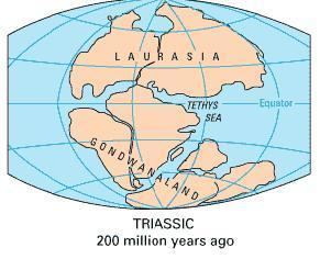 Laurasia Laurasia Wikipedia