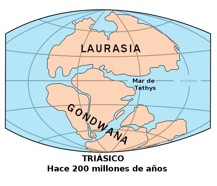 Laurasia Laurasia Wikipedia