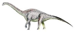 Laurasiformes