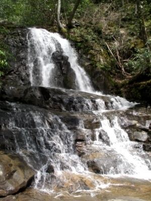 Laurel Falls Trail - Alchetron, The Free Social Encyclopedia