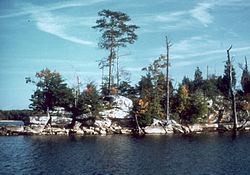 Laurel River Lake httpsuploadwikimediaorgwikipediacommonsthu
