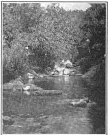 Laurel Run (Mill Creek) httpsuploadwikimediaorgwikipediacommonsthu
