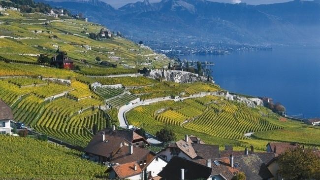 Lavaux Lavaux Vineyard Terraces The Swiss Wine Route Switzerland Tourism