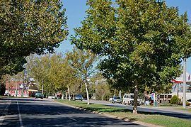 Lavington, New South Wales httpsuploadwikimediaorgwikipediacommonsthu