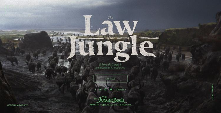 Law of the jungle The Law of the Jungle Awwwards SOTD