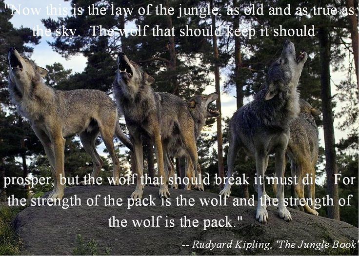 Law of the Wolf THE LAW OF THE WOLFSHOULD BE THE LAW OF THE PEOPLE Wordy