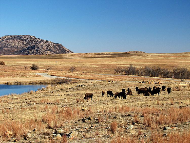 Lawton, Oklahoma Beautiful Landscapes of Lawton, Oklahoma