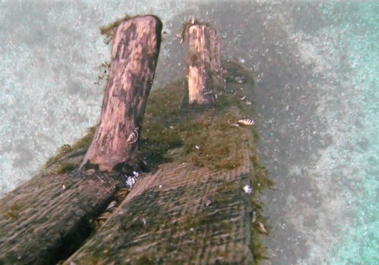 Le Griffon Lake Michigan shipwreck may be 335yearold boat researcher NY