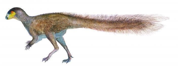 Leaellynasaura - Alchetron, The Free Social Encyclopedia