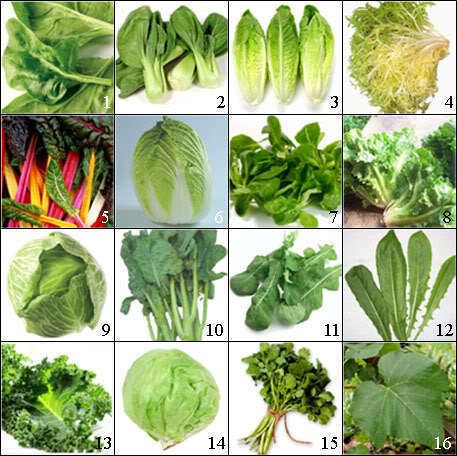 Leaf vegetable LEAF VEGETABLES THE WORLDWIDE VEGETABLES