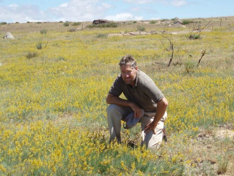 Lebeckia Murdoch University researchers say 39holy grail of legume science