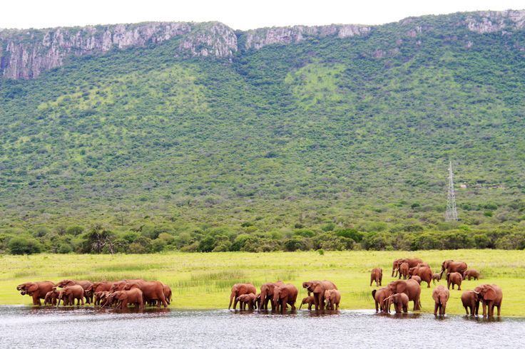 Lebombo Mountains Lebombo mountains MKUZI Game Reserve Jozini Dam Pinterest