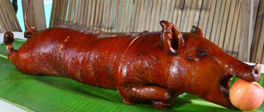 Lechon Cebu Lechon The Best Pig Ever Lola Pureza39s
