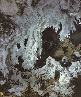 Lechuguilla Cave httpsuploadwikimediaorgwikipediacommonsthu