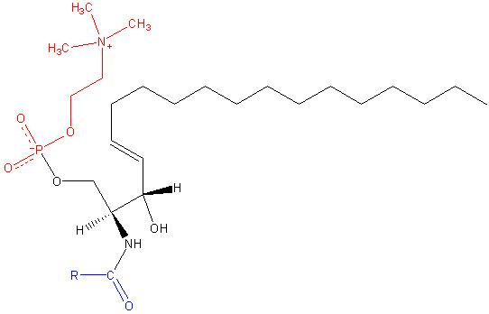 Lecithin–sphingomyelin ratio