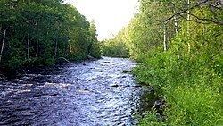 Leduån httpsuploadwikimediaorgwikipediacommonsthu