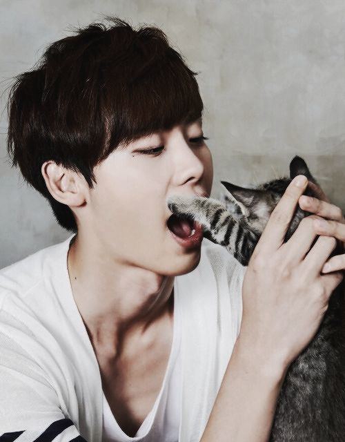 Lee Jong-suk He looks like he39s going to eat that cat Lee JongSuk is