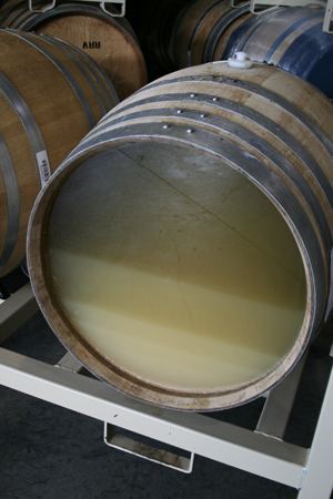 Lees (fermentation) wwwwineblogorgimageslsjpg
