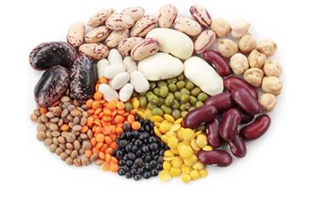 Legume Dry Beans and Peas Legumes