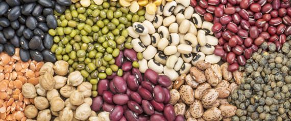 Legume What39s A Legume And Why Should I Eat It Sunnybrook Health
