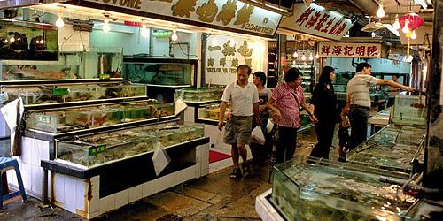 Lei Yue Mun Lei Yue Mun Seafood Village Dinner Cruise Hong Kong Tourism Board