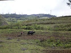 Leimebamba District httpsuploadwikimediaorgwikipediacommonsthu