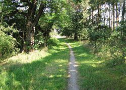Leine-Heide Cycle Path httpsuploadwikimediaorgwikipediacommonsthu