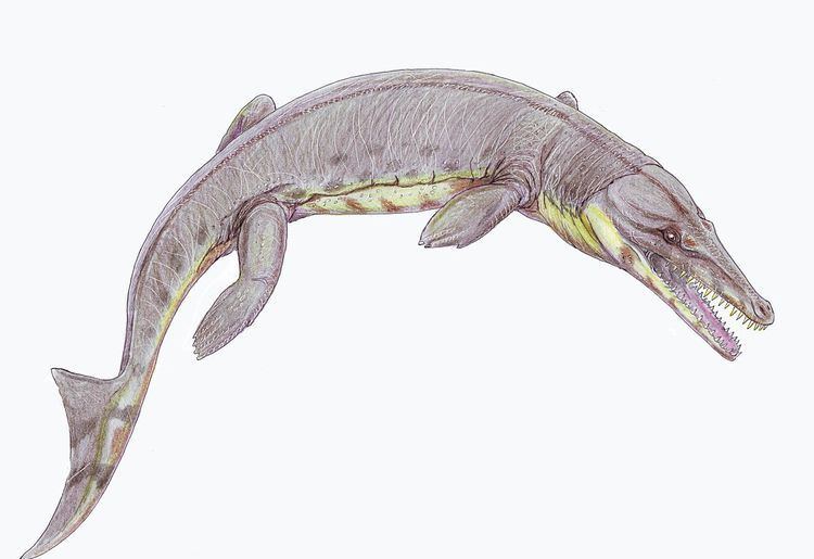 Leiokarinosuchus