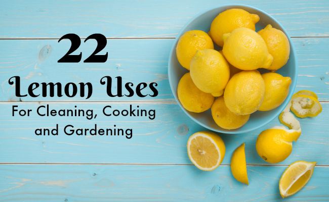 Lemon 22 Surprising Uses For Lemons Care2 Healthy Living
