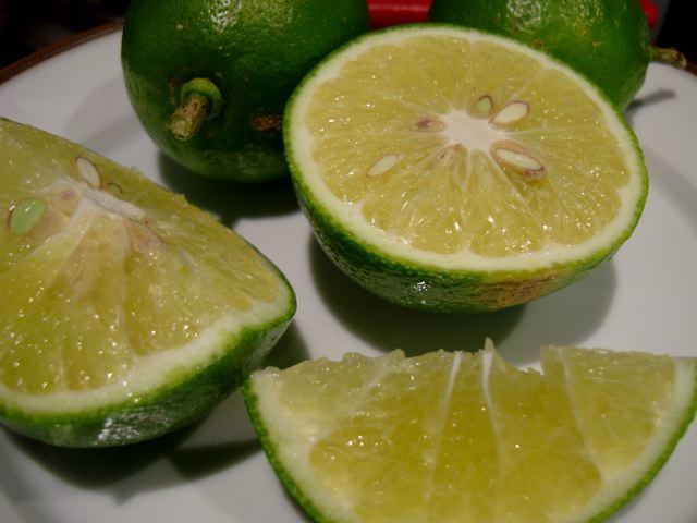 Lemonade fruit httpsplantdaleysfruitcomaullemonadefruit