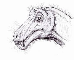 Lemurosaurus httpsuploadwikimediaorgwikipediacommonsthu
