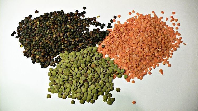 Lentil Lentil Wikipedia