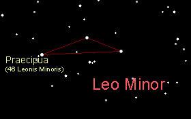 Leo Minor Leo Minor