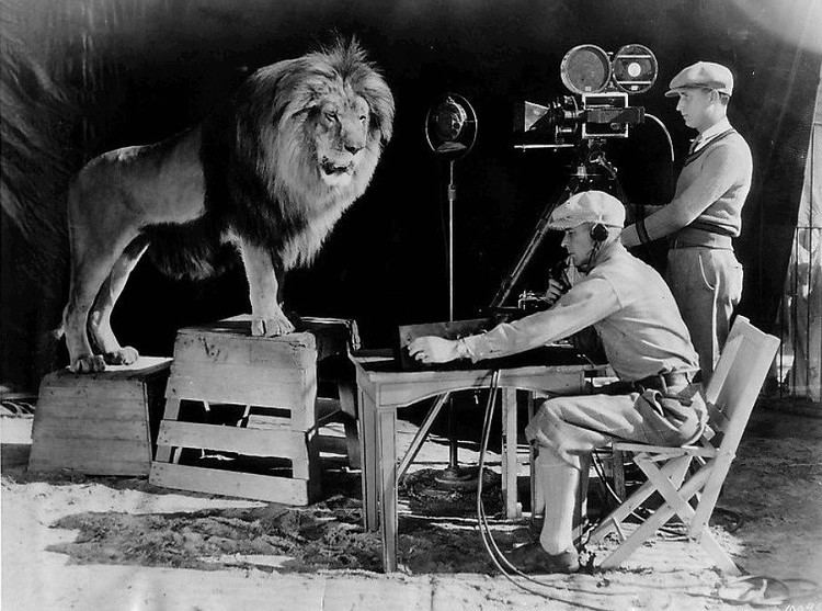 Leo the Lion (MGM) httpsuploadwikimediaorgwikipediacommonsaa