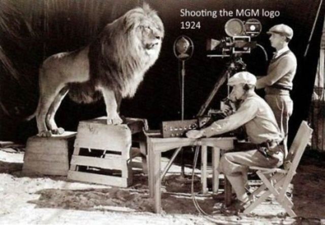 Leo the Lion (MGM) MGM39s Leo The Facts and Fictions Behind the Most Famous Lion in the