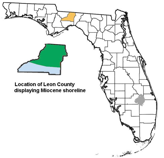 Leon County, Florida paleontological sites