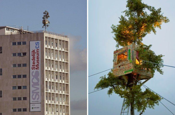 Leonard van Munster Incredible Rooftop Treehouse In Amsterdam Made From Fruit