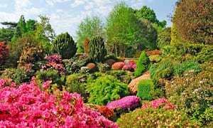 Leonardslee Leonardslee gardens is closing to the public Life and style The
