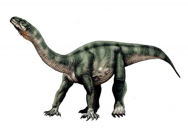Leonerasaurus imagesdinosaurpicturesorgLeonerasaurusJorgeGo