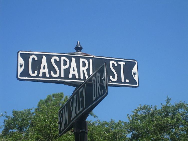 Leopold Caspari