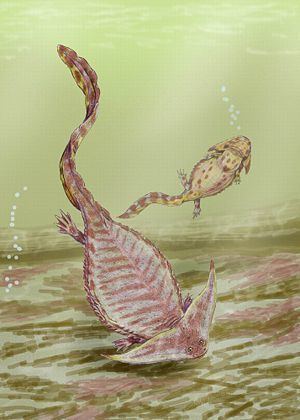 Lepospondyli Lepospondyli Wikispecies