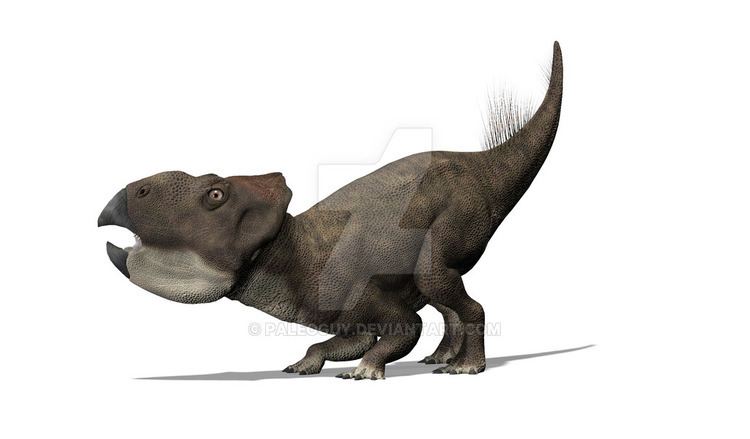 Leptoceratops Leptoceratops by PaleoGuy on DeviantArt