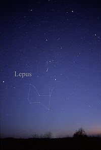 Lepus (constellation) Lepus constellation Wikipedia