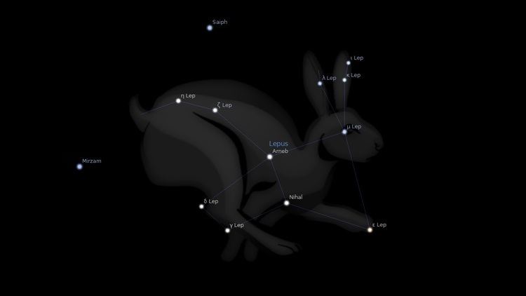 Lepus (constellation) Lepus Constellation Stars Astrology King