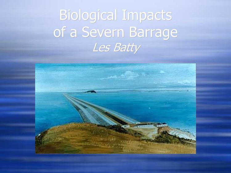 Les Batty Biological Impacts of a Severn Barrage Les Batty ppt download