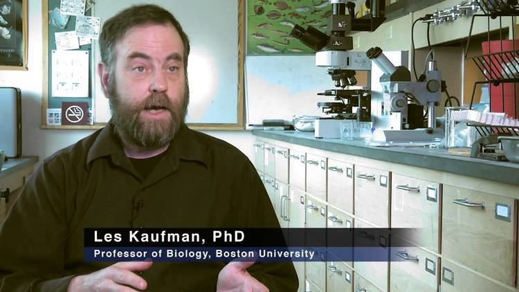 Les Kaufman Les Kaufman PhD Professor of Biology Boston University YouTube