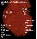 Lesion-specific calcium score