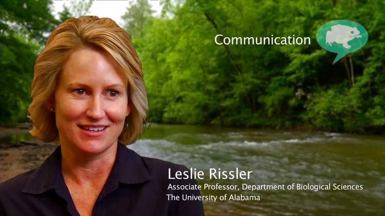 Leslie Rissler Communication Leslie Rissler on Vimeo