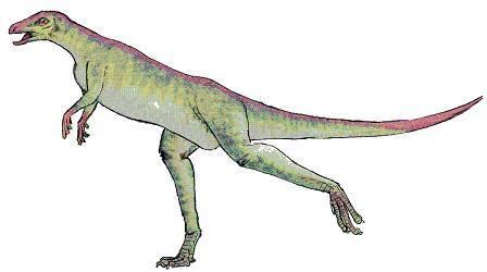 Lesothosaurus Lesothosaurus Dinosaur Facts information about the dinosaur