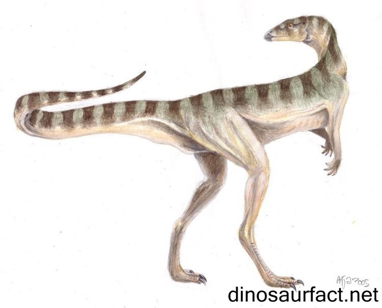 Lesothosaurus Lesothosaurus dinosaur